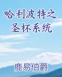哈利波特之圣杯系统全本免费阅读